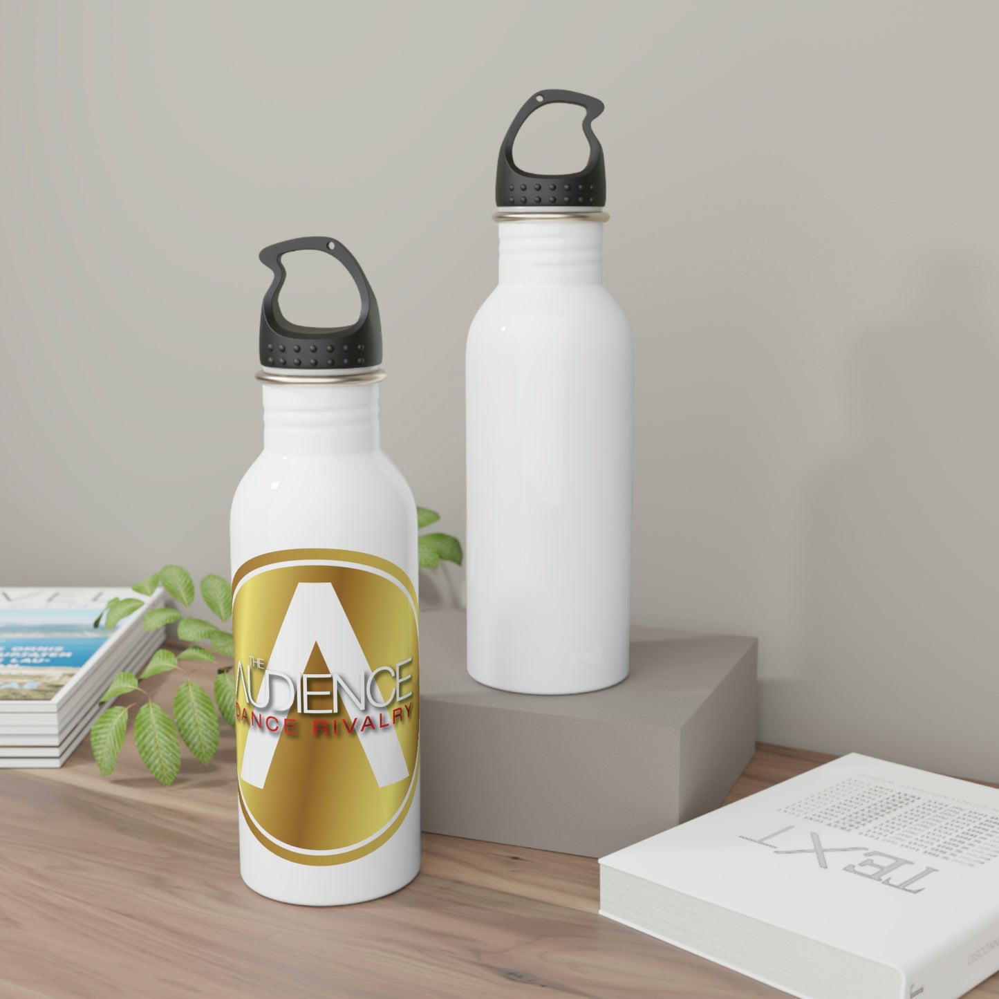 Stainless Steel Water Bottle